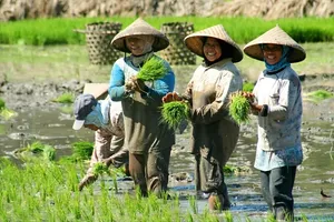 Fietsvakantie Sumatra Indonesië