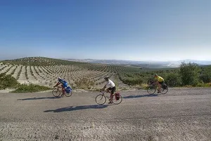 Nueva-Carteya Andalusië