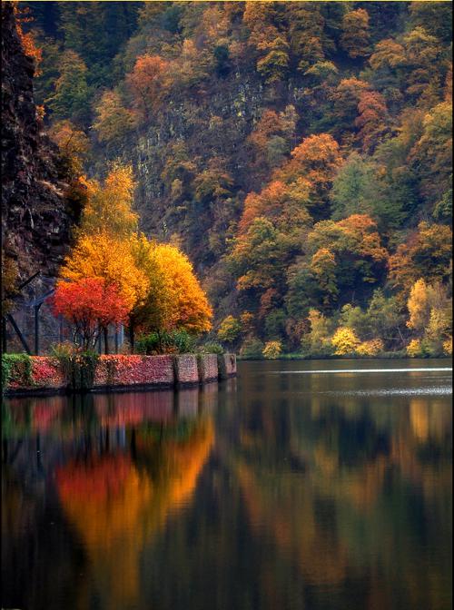 Herfst aan de Saar