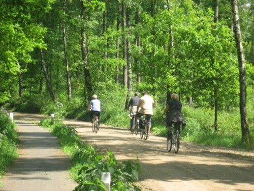 fietsers op een oude Hessenweg in Hummelo. Foto (c) Dhr. Wullink