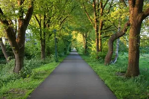Livio Fietsvierdaagse Enschede: 22 - 25 juli 2025 omgeving enschede