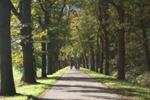 Hof van Twente herfstfietsvierdaagse: 20 - 23 oktober 2025