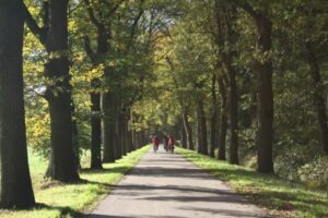 Hof van Twente herfstfietsvierdaagse: 28 - 31 oktober 2024