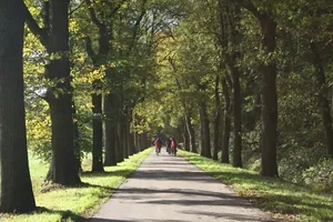 Hof van Twente herfstfietsvierdaagse: 12 - 15 oktober 2026 Hof van Twente herfstfietsvierdaagse: 12 - 15 oktober 2026