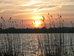 Avond LAURA avond alphen