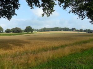 Fiets 4 daagse Markelo: 17 - 20 juni 2025 Fiets 4 daagse Markelo: 17 - 20 juni 2025