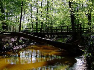 Fietsvierdaagse PeGeWe Winterswijk