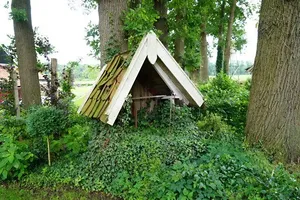 Internationale Fietsvierdaagse Winterswijk: 23 - 26 juni 2026