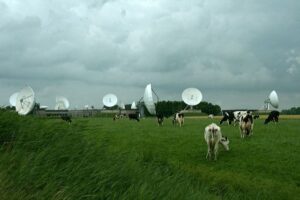 Lauwersland fietsvierdaagse: 8 - 11 juli 2024