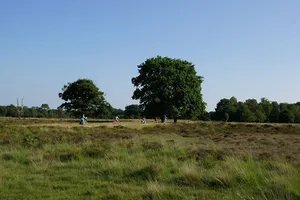 Avondfietsvierdaagse Haaksbergen Avondfietsvierdaagse Haaksbergen