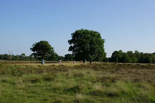 Avondfietsvierdaagse Haaksbergen