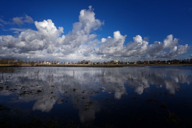 fietsvierdaagse-hardenberg