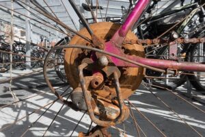 Avondvierdaagse lelystad: 23 - 26 juli 2024