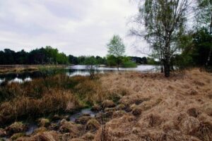 Fiets4daagse Lage Mierde: 12 - 15 augustus 2025