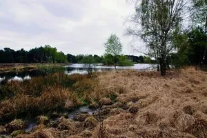 Fiets4daagse Lage Mierde: 18 - 21 augustus 2026 Fiets4daagse Lage Mierde: 18 - 21 augustus 2026