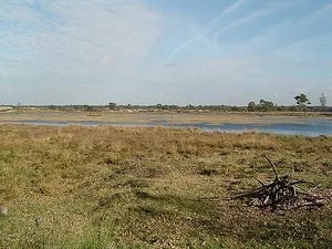 Fietsvierdaagse Appelscha: 4 - 7 augustus 2026 Fietsvierdaagse Appelscha: 4 - 7 augustus 2026