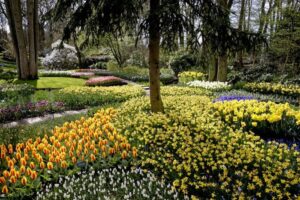 bezoek de keukenhof tijdens deze fietsvierdaagse