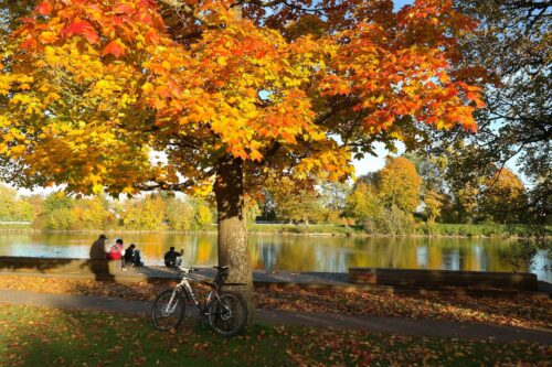 Fietsen in de herfst