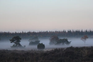 herfst fietsen nederland