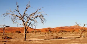 Fietsvakantie Namibië