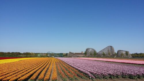 Impressie omgeving Venlo