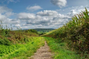 Limburgs Mooiste: 23 - 24 mei 2025 sfeerfoto zuid limburg