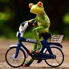 Fietsvierdaagse Roodeschool Fietsvierdaagse Roodeschool