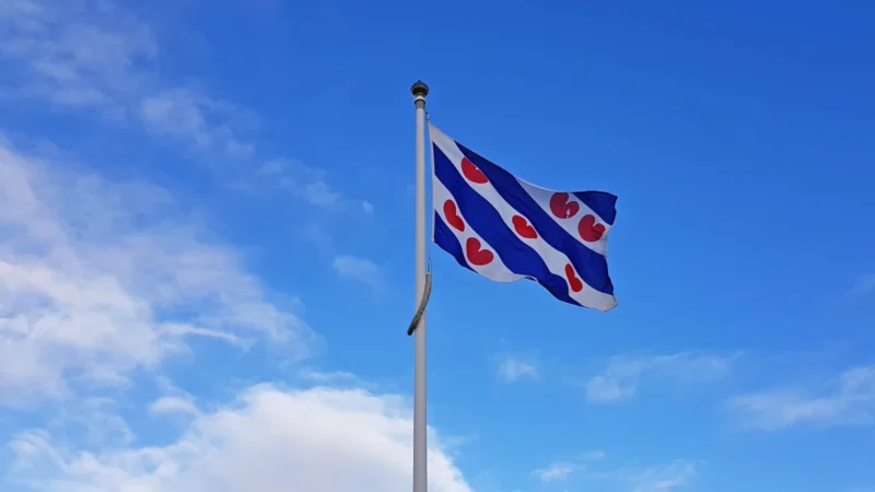 Vlag van Friesland. Aangezien er van Heerenveen geen leuke rechtvrije foto's te vinden zijn. Het lijkt wel Bielefeld.