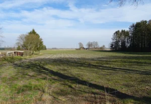 sfeerfoto Gasselte