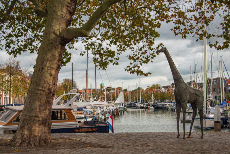 Sfeerfoto Dordrecht