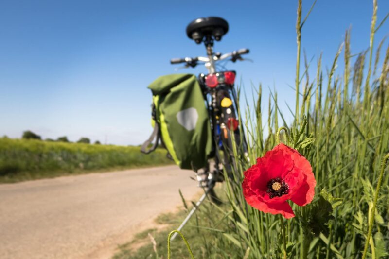 Fietsen met mooi weer.