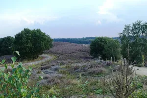 Heavensride 2024: een racefiets avontuur voor het goede doel: 28 juni 2024 Heavensride 2024: een racefiets avontuur voor het goede doel: 28 juni 2024