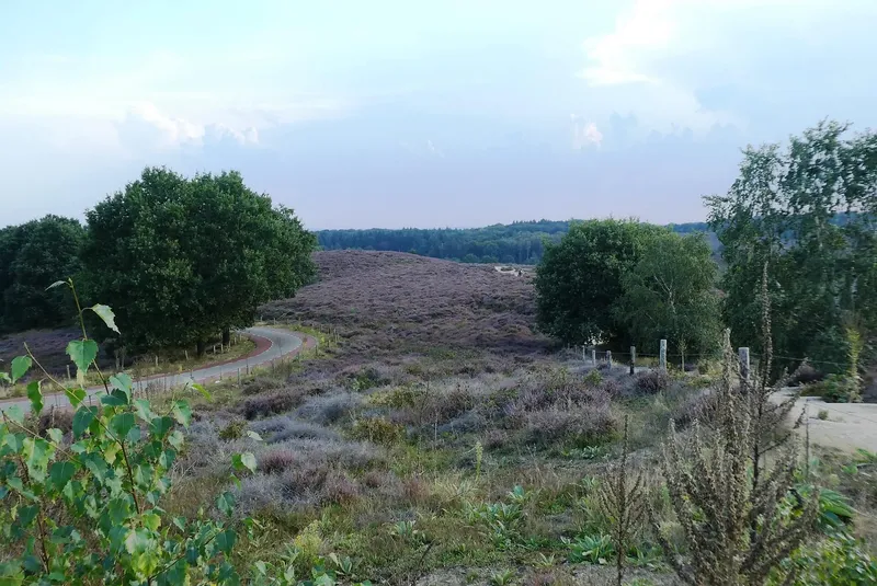 Sfeerfoto Heavensride 2024 Posbank