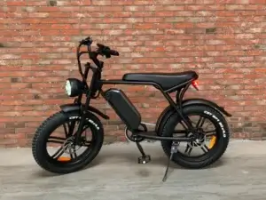 Ouxi V8 fatbike