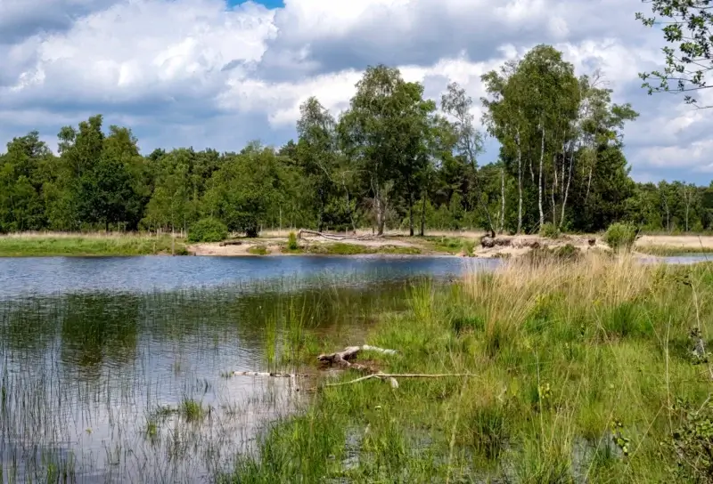 gelderland