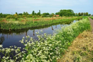 Sfeerfoto Noord-Holland