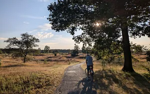 All-inclusive Fietsvakantieweek Drents Friese Wold (Vledder): 4 - 5 mei 2026 Drents Friese Wold fietsweek