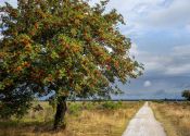 5 of 7 daagse hoteltrektocht Drenthe