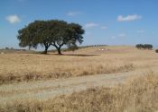 Alentejo van de Costa Azul naar Évora
