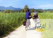 Fietsvakantie Elberadweg