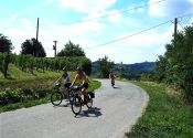 E bike vakantie Piemonte