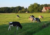 7 daagse Fietsreis Overijssel Duitsland