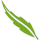 Logo SNP