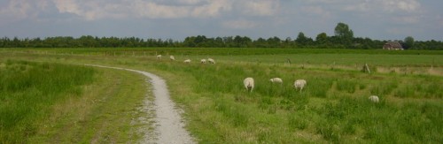 fietsvierdaagse zuidlaren
